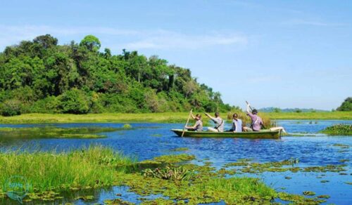 Bàu sấu Điểm du lịch lý tưởng tại vườn quốc gia cát tiên