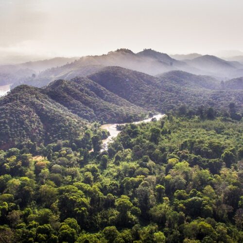 Nam,cat,tien,national,park,view,from,above,,dong,nai,