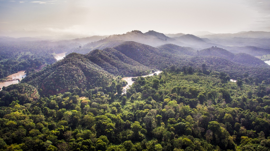 Nam,cat,tien,national,park,view,from,above,,dong,nai,